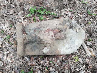 画像に含まれている可能性があるもの:木、屋外